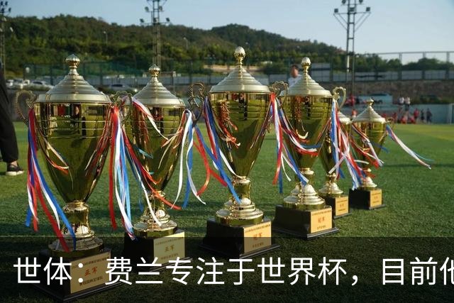 世体：费兰专注于世界杯，目前他并不清楚巴黎的兴趣和巴萨的意图